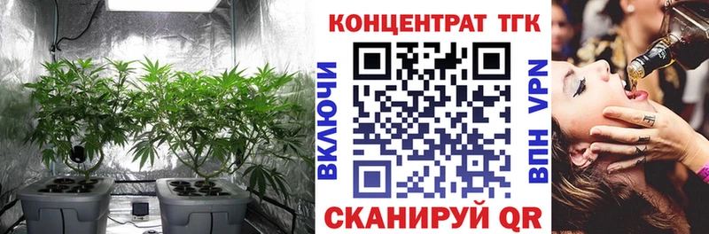 ТГК гашишное масло  Любань 