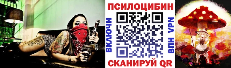 Псилоцибиновые грибы GOLDEN TEACHER  купить  сайты  Любань 