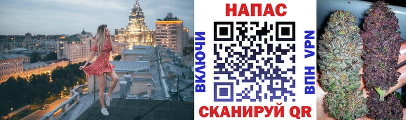 Конопля планчик  Любань 